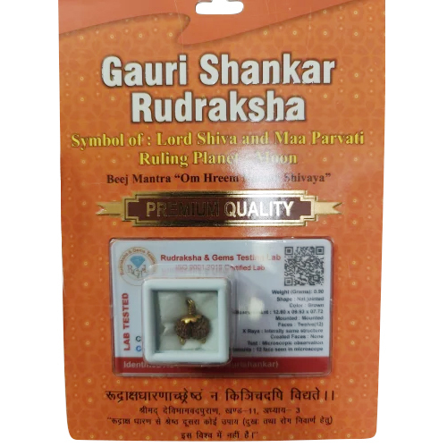 Gauri Shankar Rudraksha Beads
