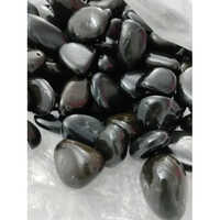 Black Shaligram Shila