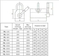 Magnetic lifter