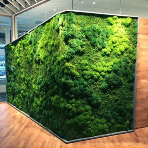 Vertical Garden