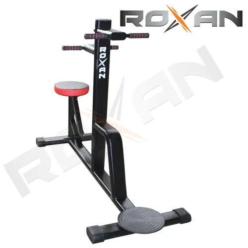 Roxan Double Twister For Home And Gym Use Application: Gain Strength