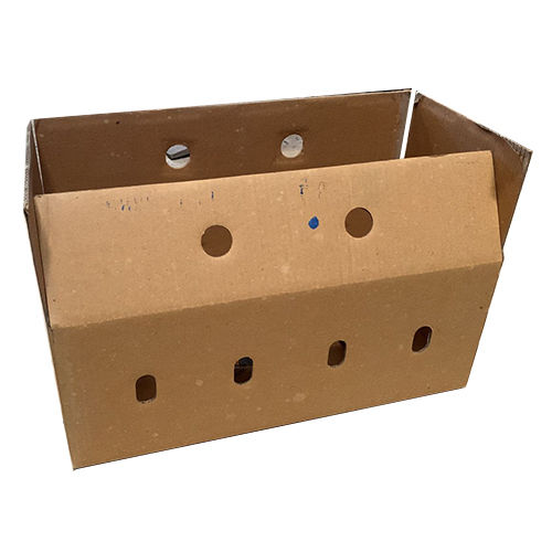 5 Kg Vegetable Corrugated Packaging Box