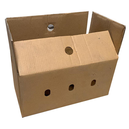 4 Kg Vegetable Corrugated Packaging Box