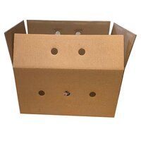 4 Kg Vegetable Corrugated Packaging Box