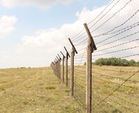 PVC Coated Barbed Wire