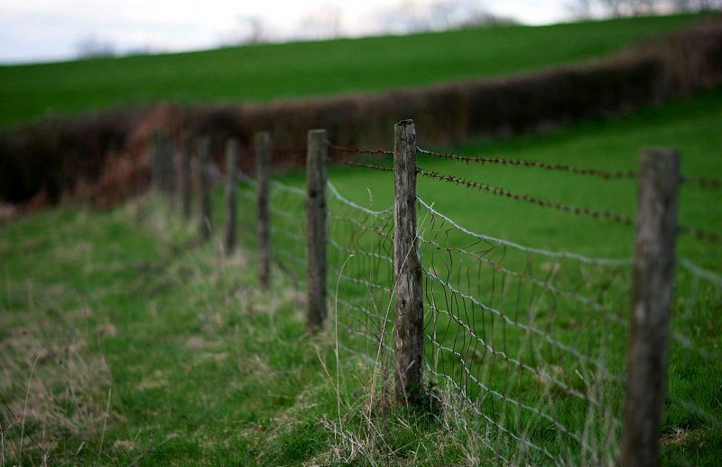 PVC Coated Barbed Wire