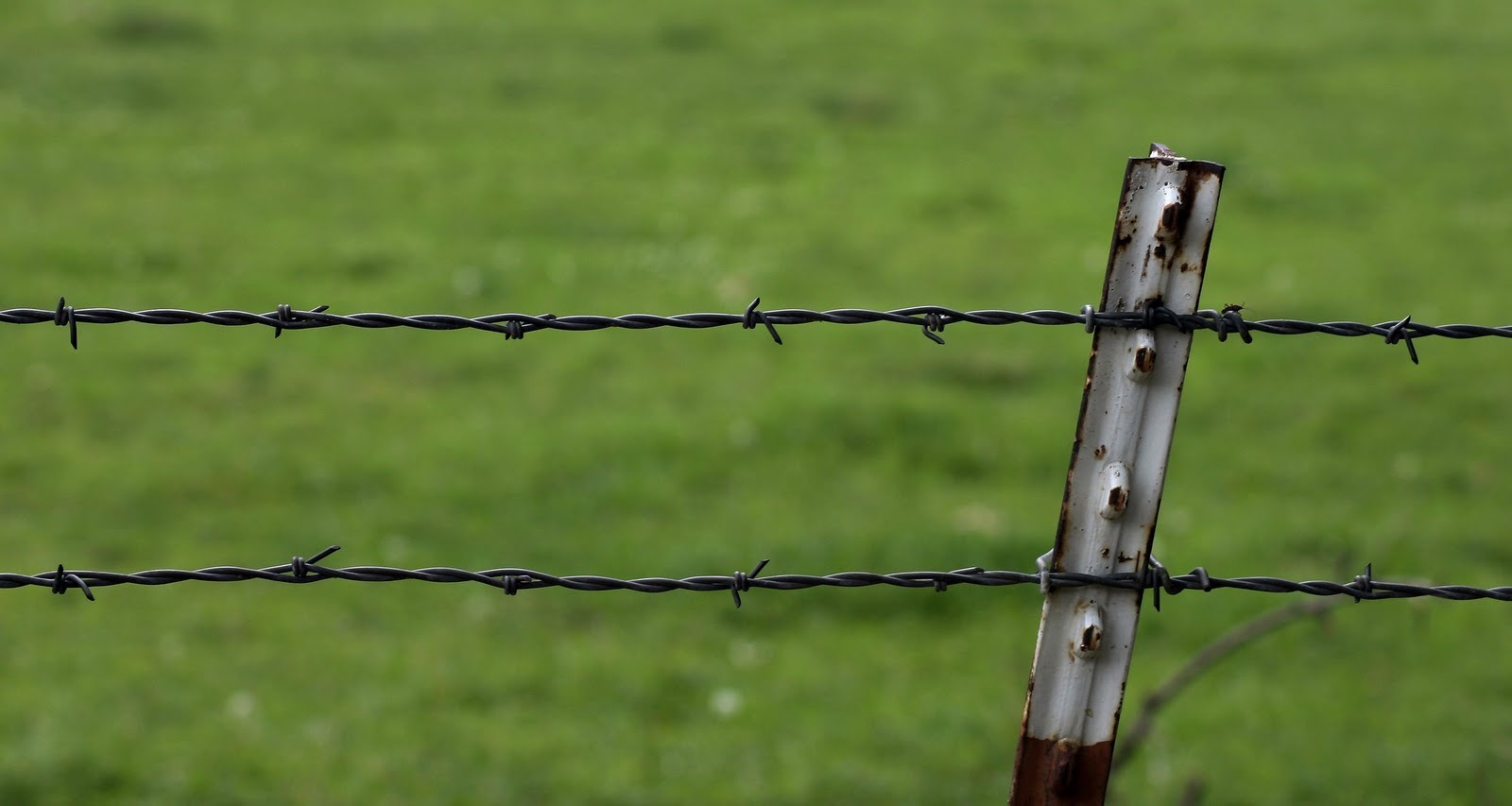 PVC Coated Barbed Wire