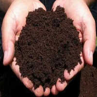 Black Press Mud