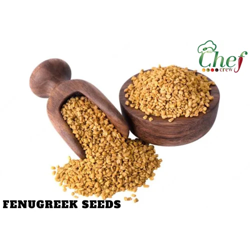 Common Fresh Fenugreek Seeds at Best Price in Ahmedabad | Chefcrew ...