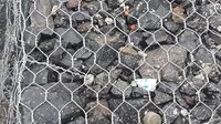 Hexagonal Wire Mesh