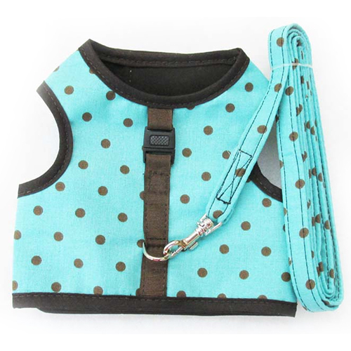 Sky Dot Comfort Harness With Matching Leash