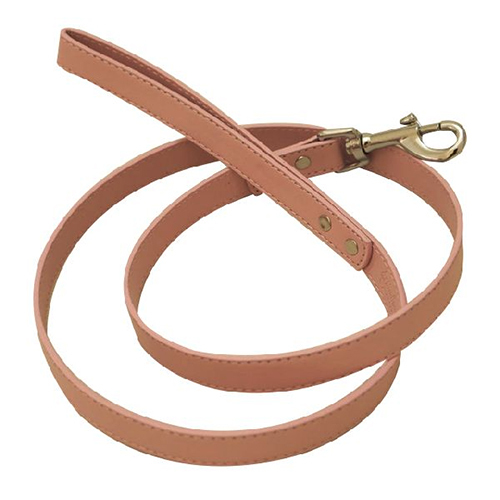 All Type Dog Leashes