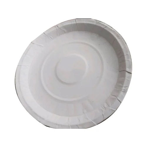 Disposable Paper Food Plates