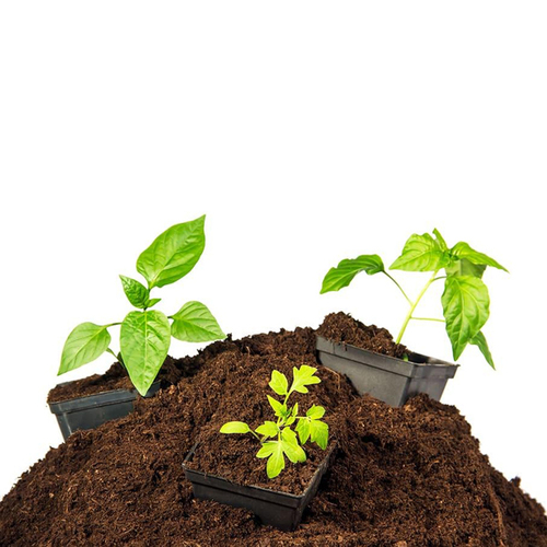 Peat Moss Fertilizer Application: Agriculture