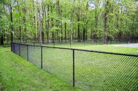 PVC Coated Chain Link Fence