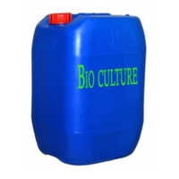 Microbial Bacteria Culture