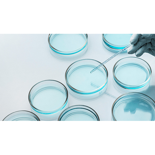 Commercial Microbiological Testing Services