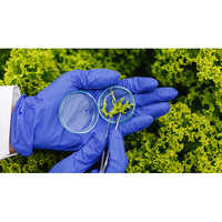 Environmental Testing Services