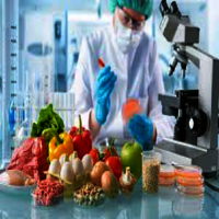 Food Quality Testing Services