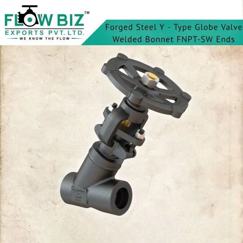 Grey Forged Steel Y Type Globe Valve