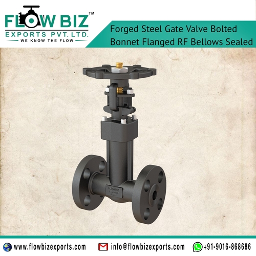 Forged Steel Gate Valve Manufacturer