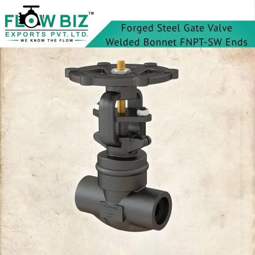 Black Welded Bonnet Forged Steel Gate Valve