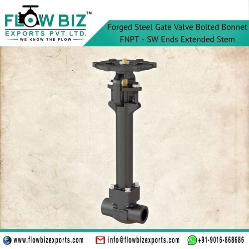 Black Forged Steel Welded Nipple End Gate Valve