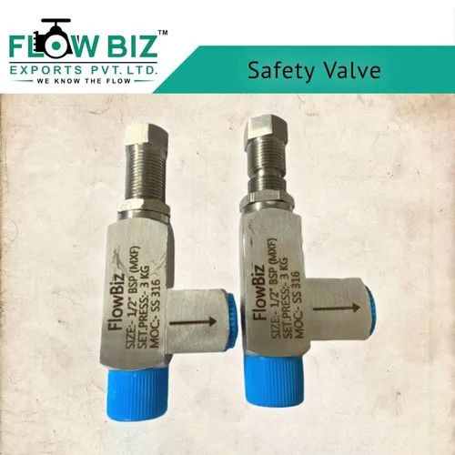 Stainless Steel Safety Valve Application: Industrial