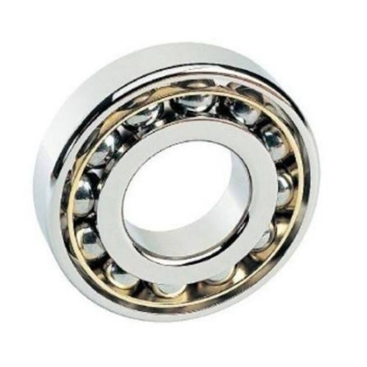 Heavy Duty Ball Bearing - Stainless Steel, Double Row Design, Flanged Bushes Type | Durable Performance for Industrial Machinery and Equipment