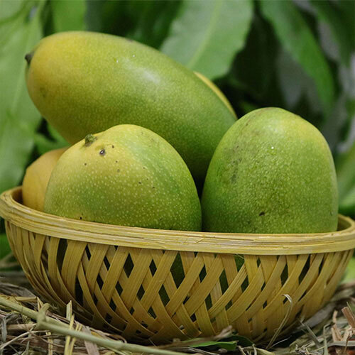 Cheruku Rasam Mango