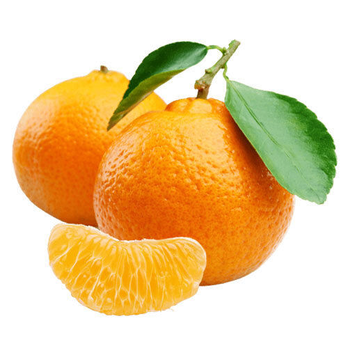 Common Fresh Orange