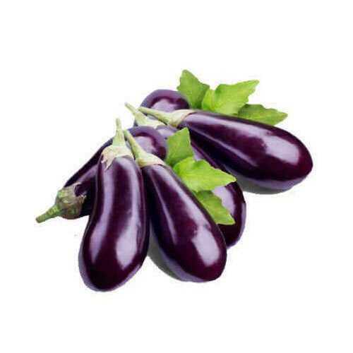 Fresh Brinjal