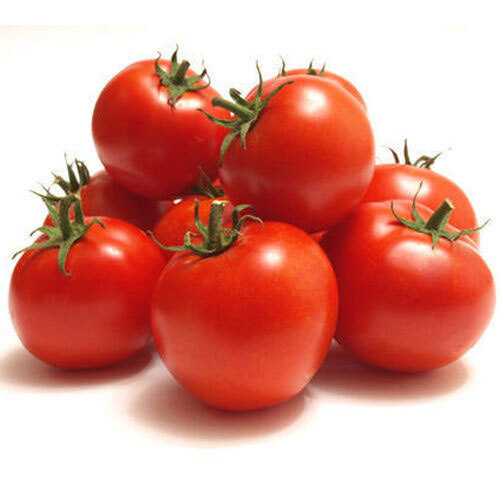 Fresh Red Tomato