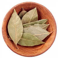 Bay Leaf - Green Culinary Herb, Raw Cooking Spice Pieces | Aromatic Flavor, Antioxidant-rich, Enhances Dishes