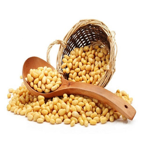 Soybean Seed