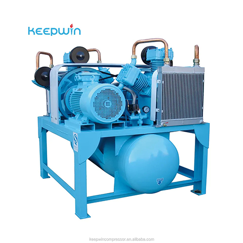 Premium OEM medical hospital Oxygen gas Concentrator Compressor