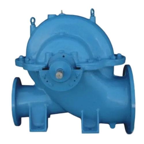 Blue Horizontal Split Case Pump