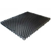 Hdpe Drainage Cell - Customized Sizes | High-quality, Polished Finish, Lightweight, Bacteria And Fungi Resistant