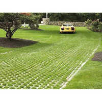 HDPE Grass Paver
