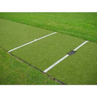 Artificial Grass