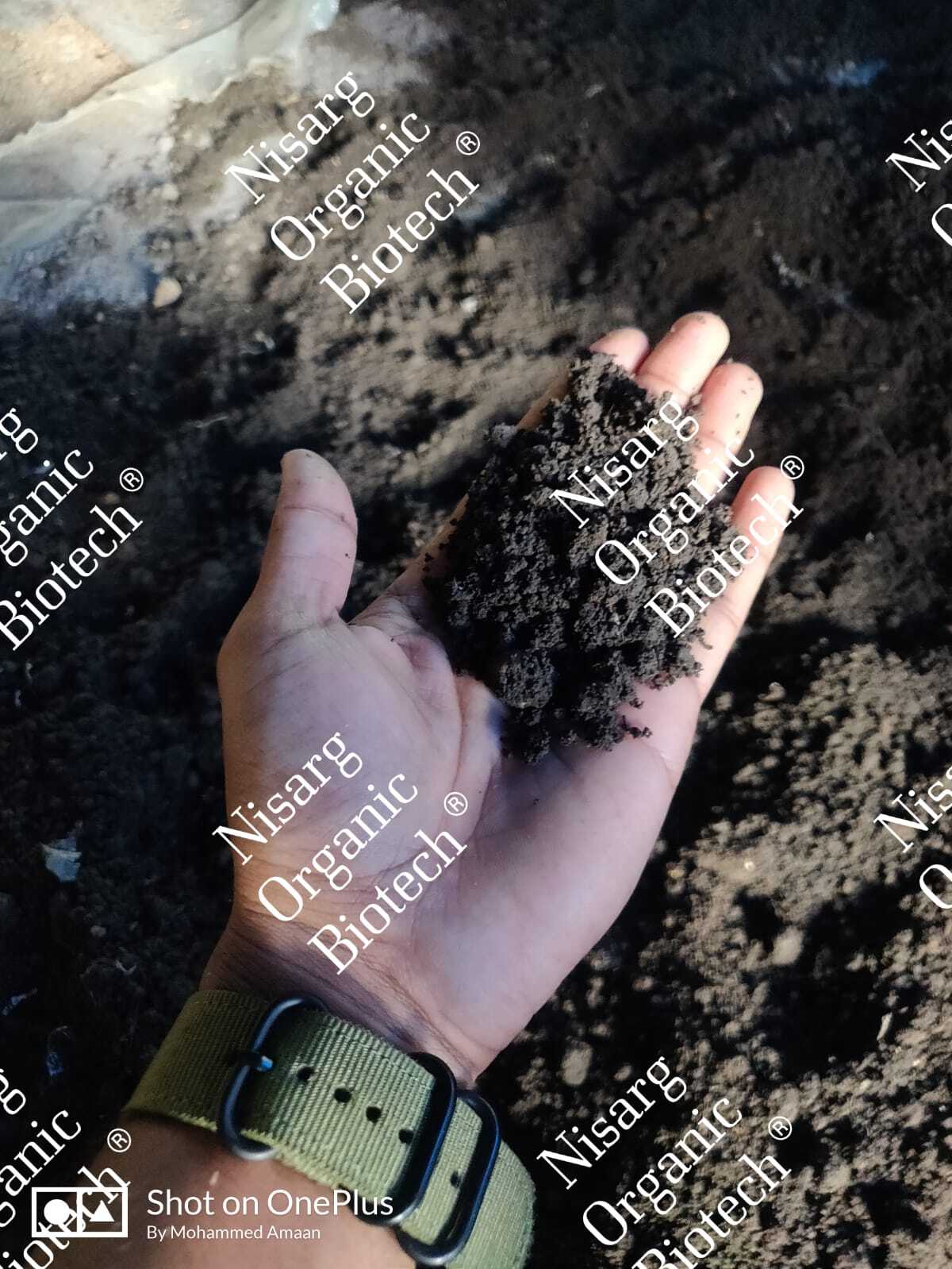 Organic Fertilizer Cow Dung Compost