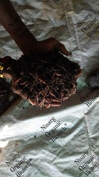 Vermi Compost Fertilizer