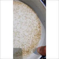Spawn Fish Seed