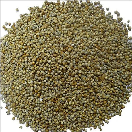 Organic Bajra Millet Seeds