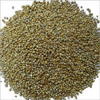 Bajra Millet