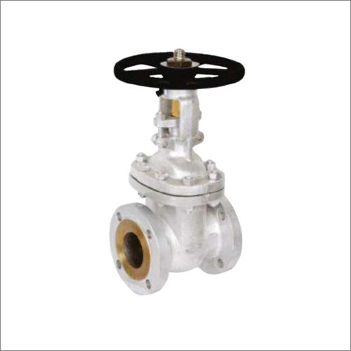 White Gate Valve