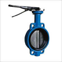 Check And Butterfly Valves