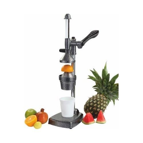 Fruit Juicers