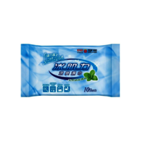Cleaning Wipes (OEM/ODM)