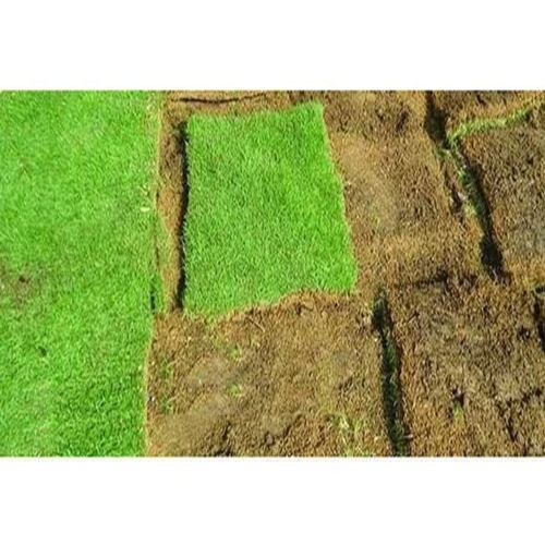 4mm Square Lawn Grass